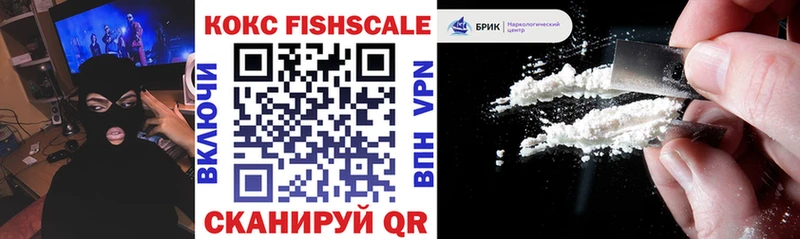 Кокаин Fish Scale  Купить закладки  Волхов 
