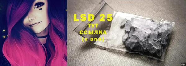 твердый Бородино