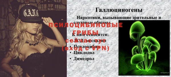 прущая мука Верея